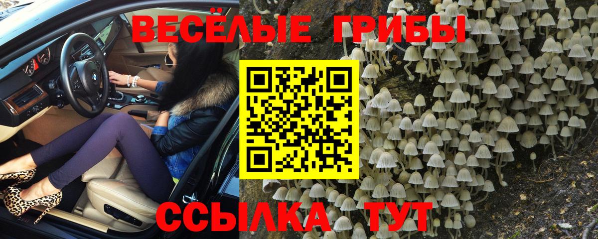 Белореченск  Псилоцибиновые грибы GOLDEN TEACHER  Вход с VPN 